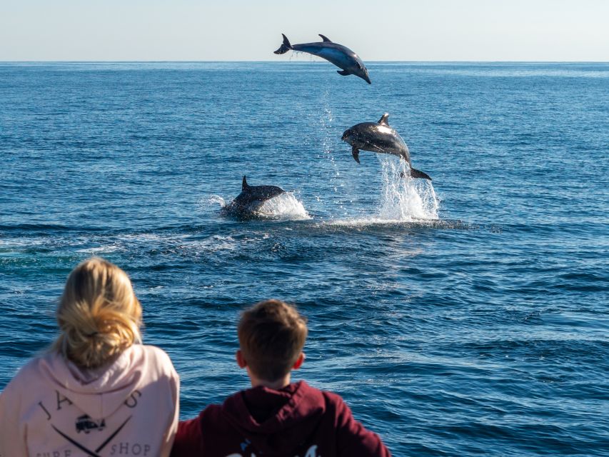 Dana Point Dolphin & Whale Watching With Underwater Viewing - Who will enjoy this most?