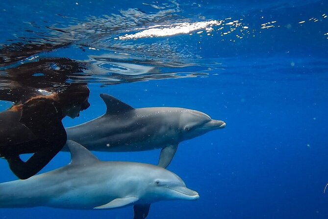 Day Trip to Ponta de Ouro Beach /Dolphin Swim+Snorkel+Whale Watch - A quick wildlife stop in the Maputo Special Reserve
