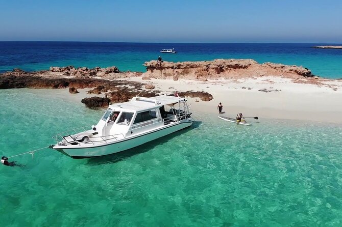 Daymaniyat island Natural Reserve and Dolphin Watching - Leaving Marina Bandar Al Rowdha at 8:30 a.m.