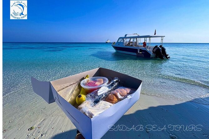 Daymaniyat island Natural Reserve and Dolphin Watching - First snorkeling stop: turtles, reefs, and clear water