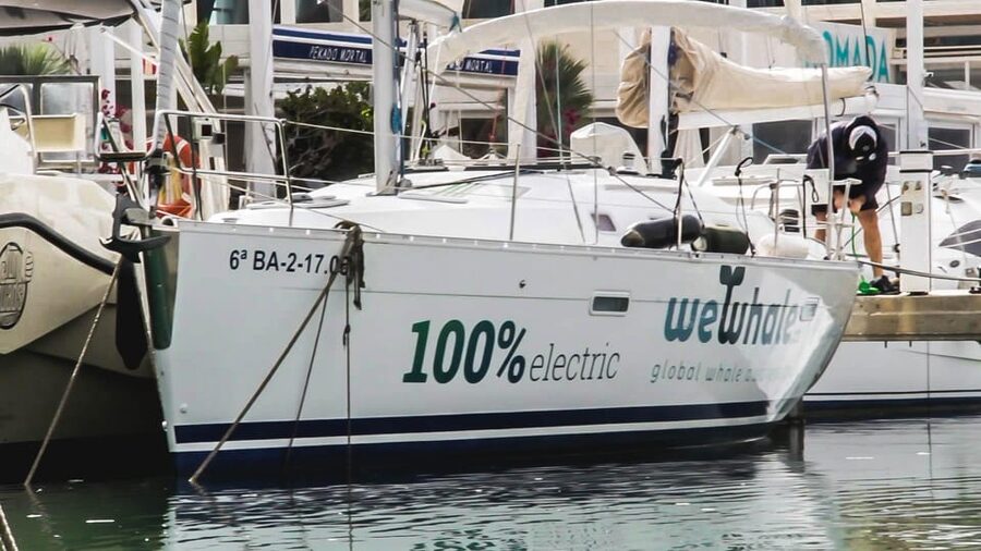 Denia: Sunset Electric Sailboat Cruise with Dolphin Spotting - Starting at Marina El Portet in Denia