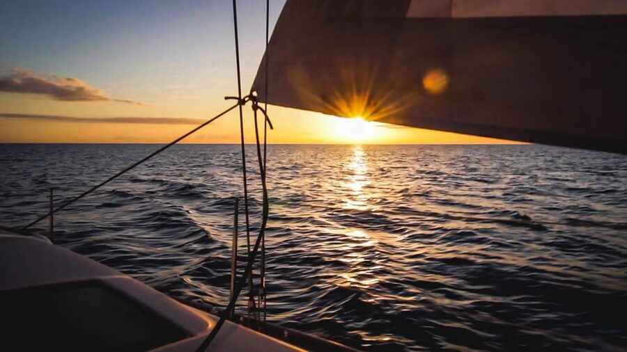 Denia: Sunset Electric Sailboat Cruise with Dolphin Spotting - Watching for dolphins and whales at sunset