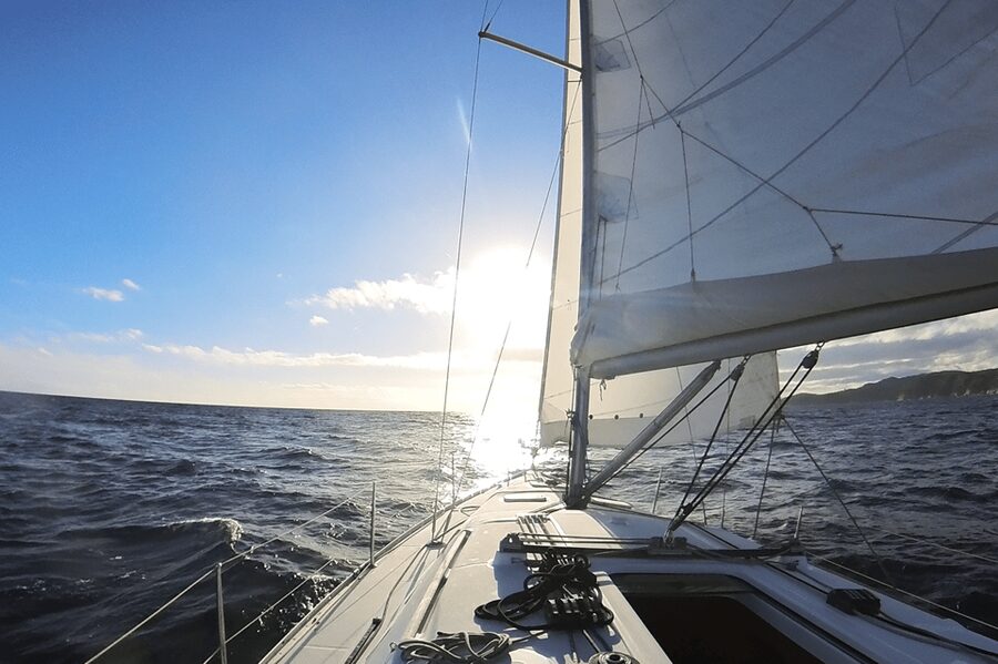 Denia: Sunset Electric Sailboat Cruise with Dolphin Spotting - Is $88 a fair price for 2.5 hours?