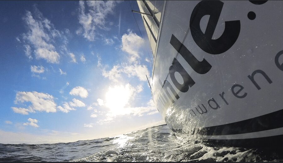 Denia: Sunset Electric Sailboat Cruise with Dolphin Spotting - Cruising toward Cabo de San Antonio
