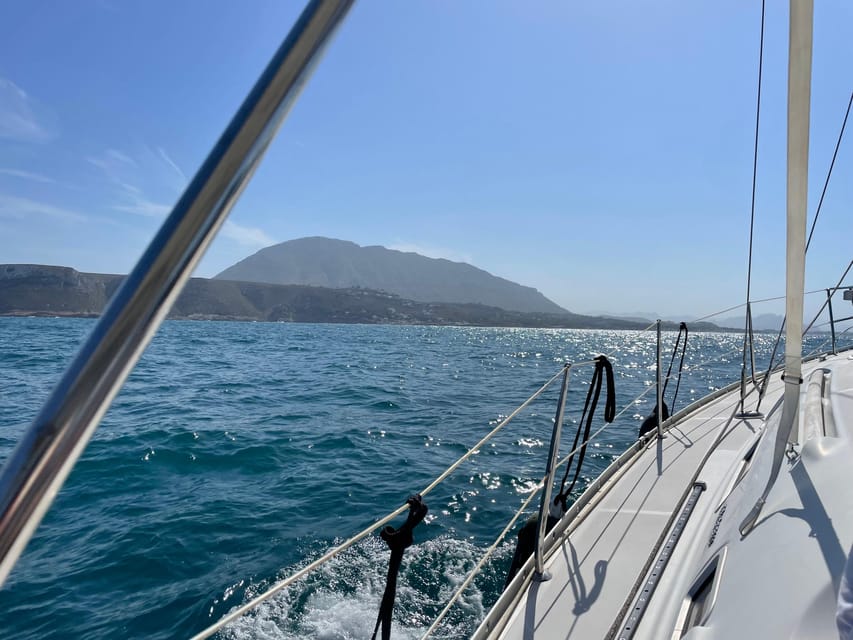 Denia: Whale and Dolphin Watching Morning Experience - Key details before you book