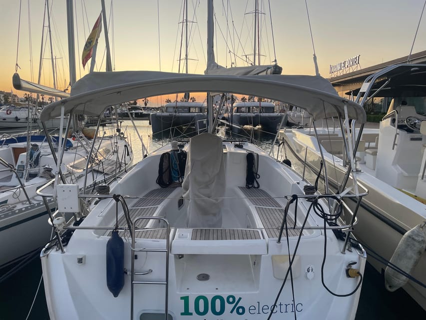 Denia: Whale and Dolphin Watching Morning Experience - Four hours of searching along the Valencian coast