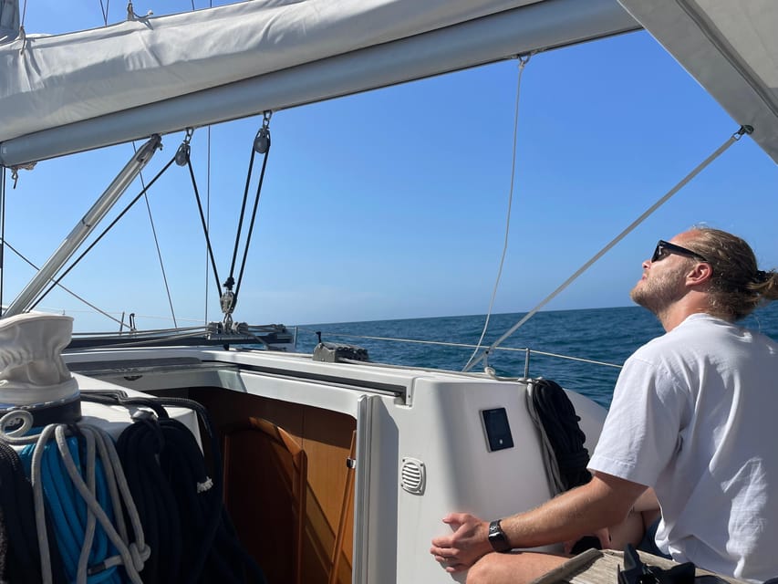 Denia: Whale and Dolphin Watching Morning Experience - The real value of a $112 morning