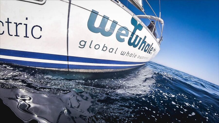 Denia: Whale and Dolphin Watching Morning Experience - The strongest part is often the guide