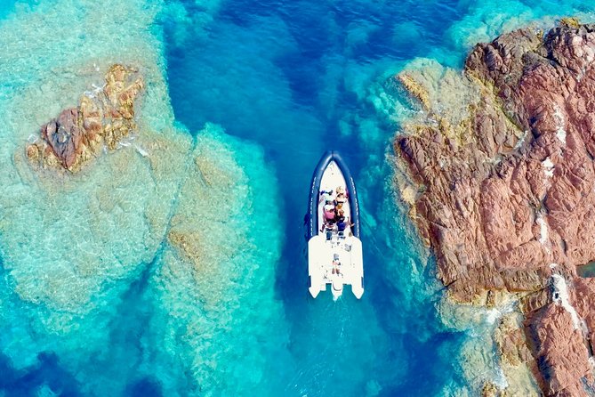 Depart Saint Raphaël: Meet the Dolphins - Two and a half hours searching for marine life
