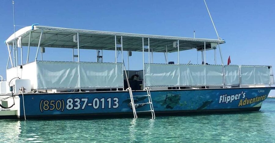 Destin: Crab Island Catamaran Tour with Dolphin Watching - The dolphin search comes early