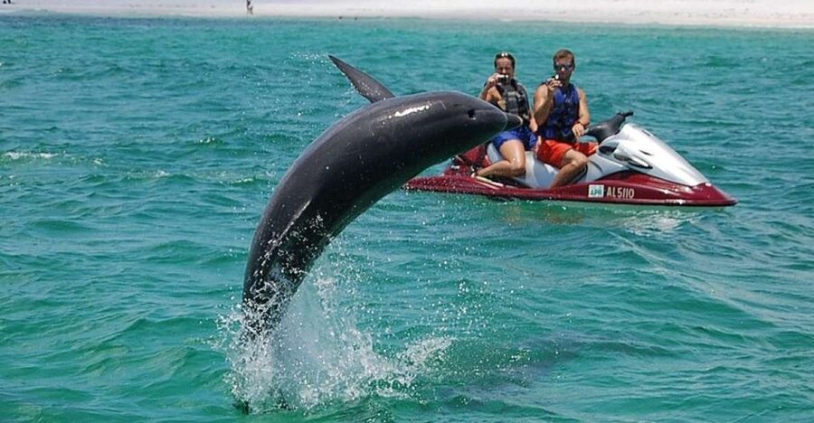 Destin: Crab Island Dolphin Jet Ski Tour - Key things to know before you book