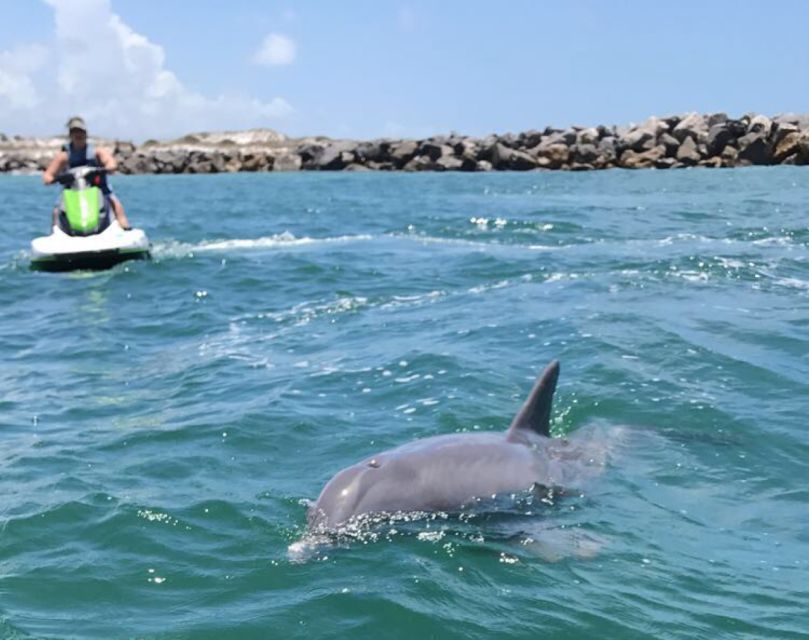 Destin: Crab Island Dolphin Jet Ski Tour - Is $203 good value for two hours?