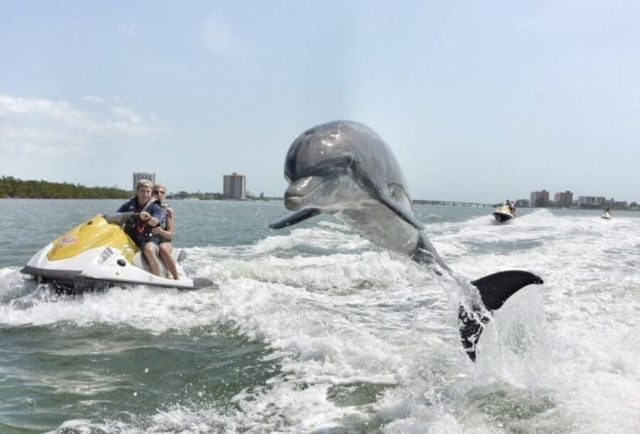 Destin: Crab Island Dolphin Jet Ski Tour - Who will enjoy this most?