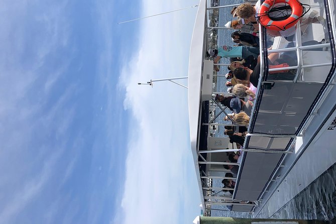 Destin Dolphin Cruise - Finding dolphins in the wild