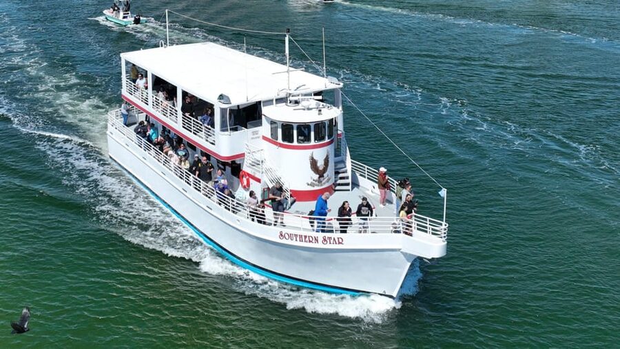 Destin: Dolphin Cruise aboard a Glass-Bottom Boat - Is $40 a fair price for 90 minutes?