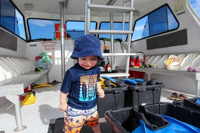 Destin: Dolphin Watching Cruise - Booking details and practical tips