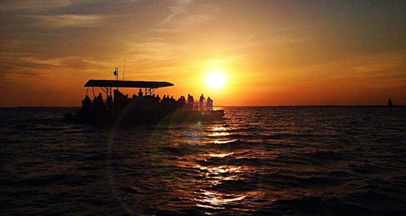 Destin: Dolphin Watching Cruise - Harbor homes and the first views of the coast