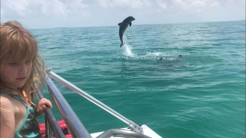 Destin: Dolphin Watching Cruise - The crew makes the difference