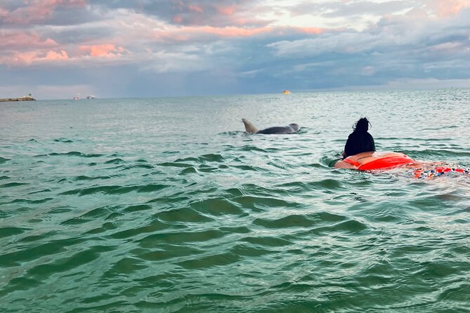 Destin Private Boat Tours Dolphin Crab Island Snorkel Sunset - Quick take: what makes this boat trip appealing
