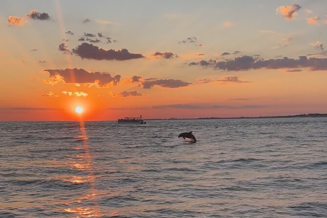 Destin Private Boat Tours Dolphin Crab Island Snorkel Sunset - Dolphin watching with room for the unexpected