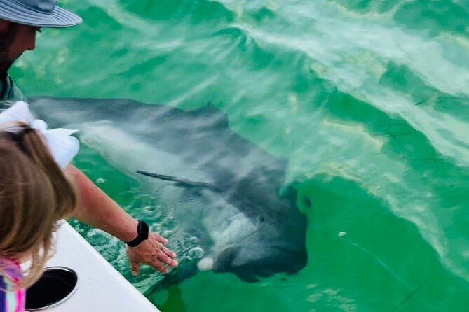 Destin Private Boat Tours Dolphin Crab Island Snorkel Sunset - Snorkeling with a local feel