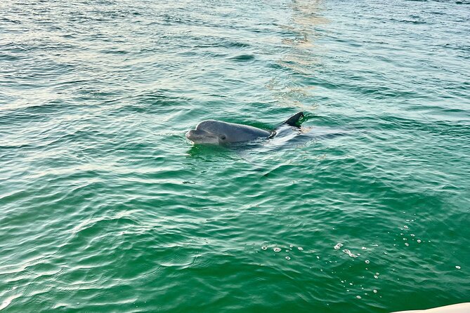 Destin Private Boat Tours Dolphin Crab Island Snorkel Sunset - Sunset and fireworks from the water