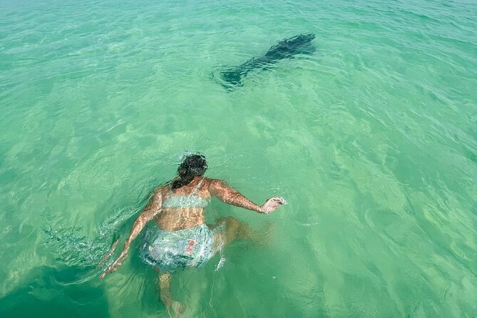 Destin Private Boat Tours Dolphin Crab Island Snorkel Sunset - What the $385 group price means