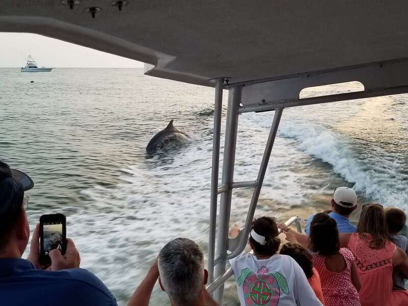 Destin: Snorkeling Cruise with 2 Stops and Dolphin Watching - The First Cruise: Bay Views and a Search for Dolphins