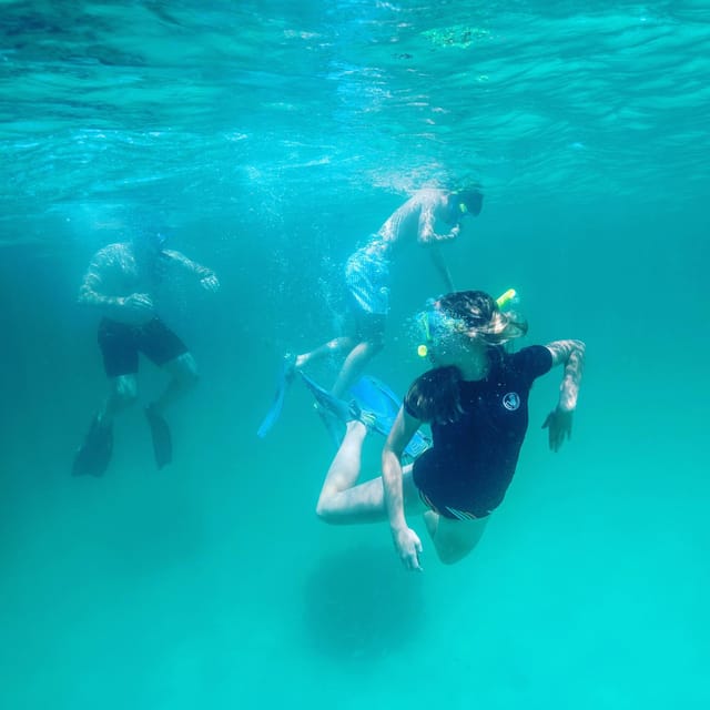 Destin: Snorkeling, Dolphins, and Crab Island - Quick points to know