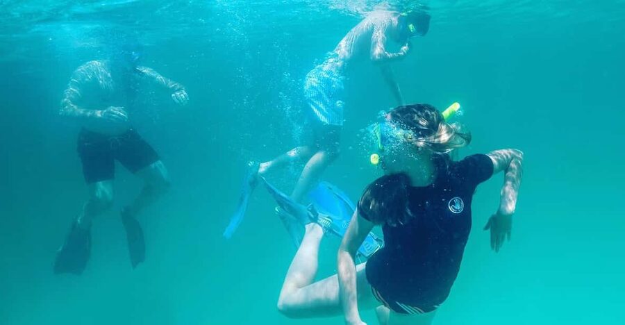 Destin: Snorkeling, Dolphins, and Crab Island - Why the private format matters in Destin
