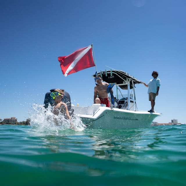 Destin: Snorkeling, Dolphins, and Crab Island - Dolphin watching near the Emerald Coast