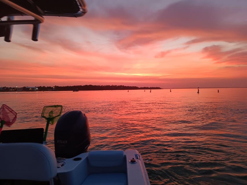 Destin: Snorkeling, Dolphins, and Crab Island - The jetties, fish, octopuses, and seahorses