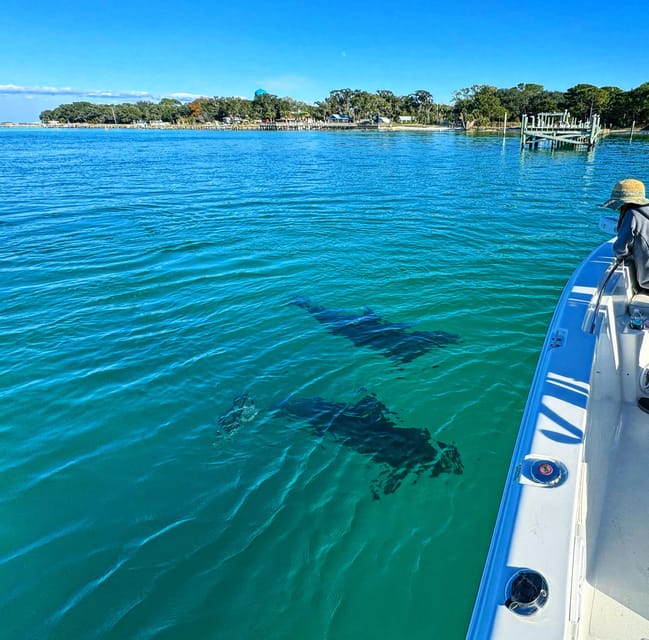 Destin: Snorkeling, Dolphins, and Crab Island - Secluded beaches and quieter water