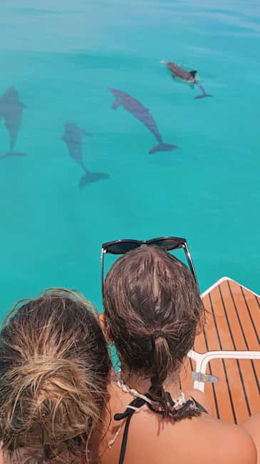 Dhiffushi Dolphin Cruise - Key points to know before booking