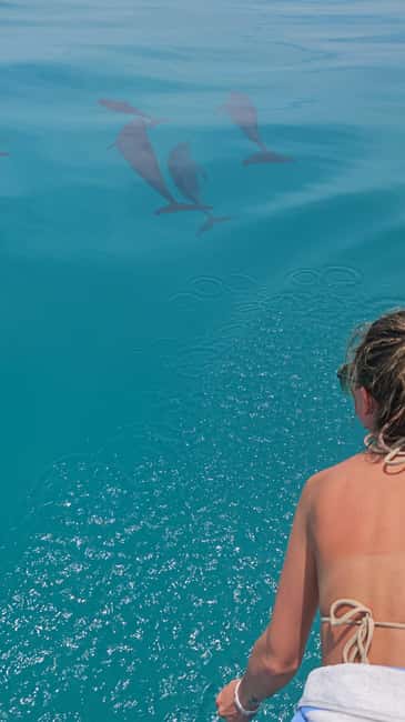 Dhiffushi Dolphin Cruise - The speedboat ride and the search at sea