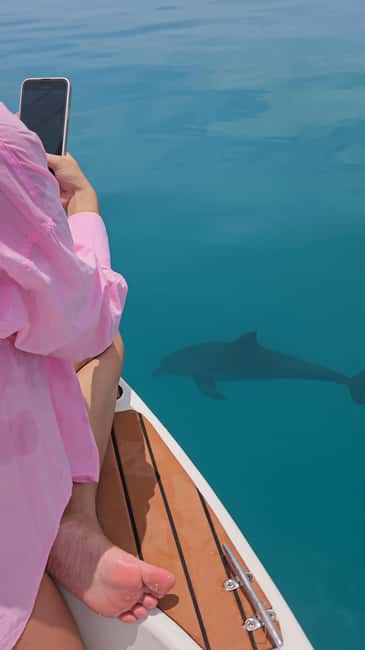 Dhiffushi Dolphin Cruise - Practical tips for a better evening