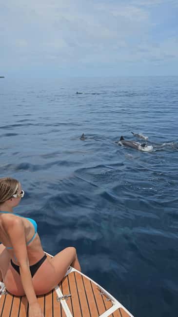 Dhiffushi Dolphin Cruise - Starting at Dhiffushi Jetty