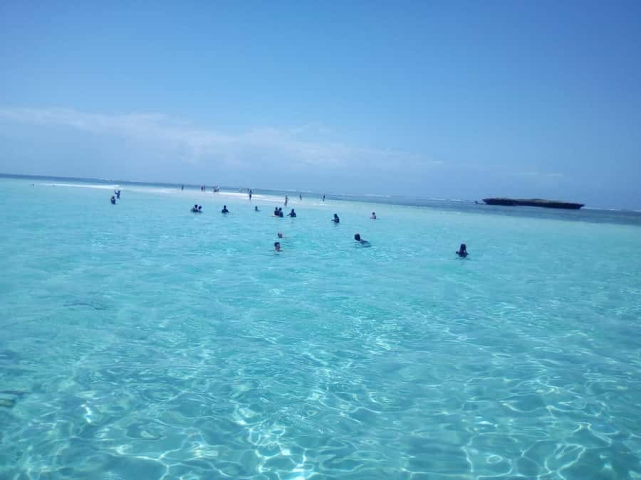 Diani: Wasini Island Dolphin Watching and Snorkeling Tour - Leaving Diani early for the Shimoni coast