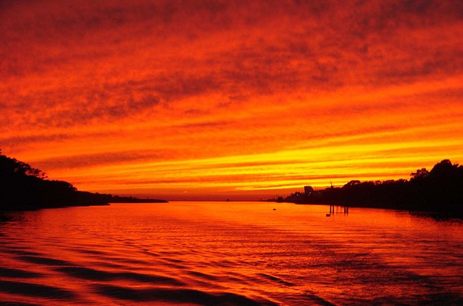 Dinner Cruise with Dolphin Watching from Cape May - Dolphins, whales, eagles, and osprey