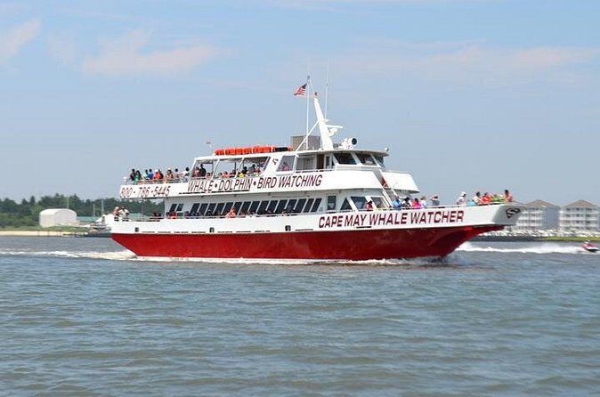 Dinner Cruise with Dolphin Watching from Cape May - Who will enjoy this cruise most