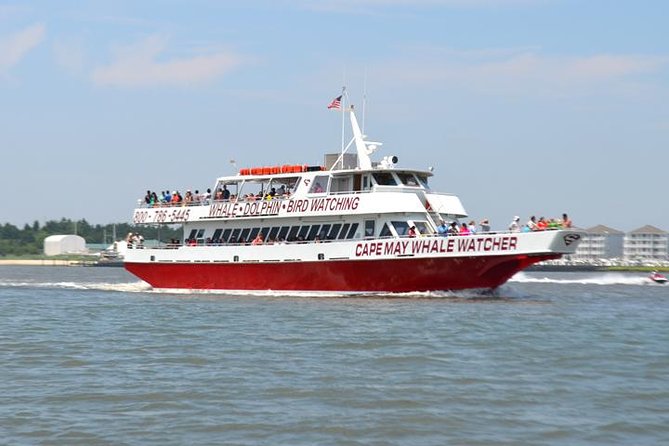 Dinner Cruise with Dolphin Watching from Cape May - Watching the Cape May Lighthouse from the water