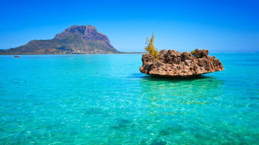 Discover Mauritius: Dolphin Watch, Snorkeling, BBQ Lunch - From your hotel to Black River