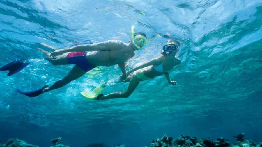 Discover Mauritius: Dolphin Watch, Snorkeling, BBQ Lunch - Dolphin watching in the open sea