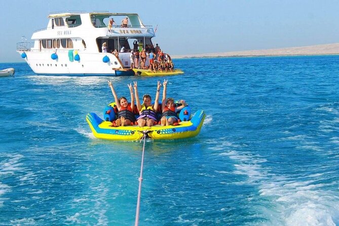 Discover the Magic in Snorkeling Expedition to Dolphin House - What to expect at Dolphin House