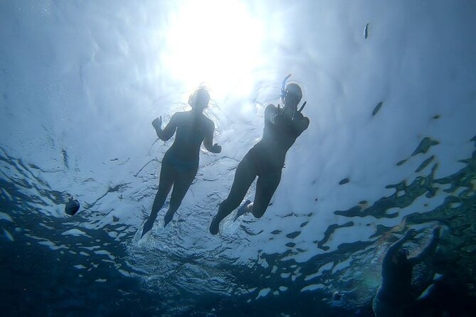 Discover the Magic in Snorkeling Expedition to Dolphin House - Lunch, soft drinks, and the value of the price