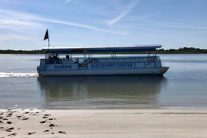 Discovery Dolphin Boat Tour - Key points to know before booking