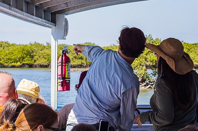 Discovery Dolphin Boat Tour - Comfort, scenery, and the 40-passenger format