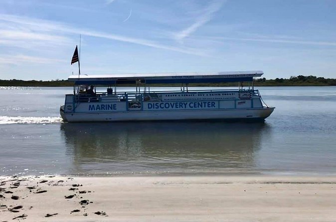 Discovery Dolphin Boat Tour - Who should book this lagoon cruise?