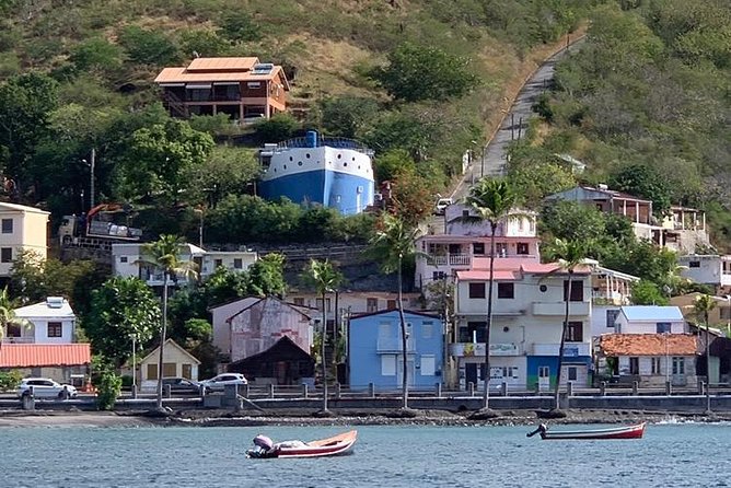 Discovery of dolphins on the Caribbean coast - Bellefontaine’s bat cave and the swimming stop