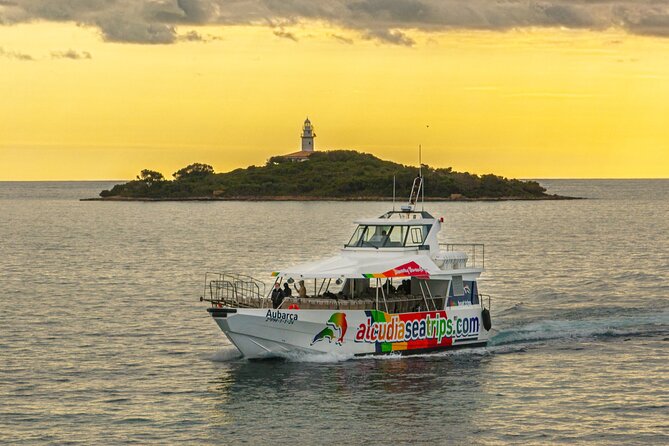 Dolphin Adventure: Fast Boat Dolphin Watching in Mallorca - The dolphin encounter, usually 20 to 40 minutes